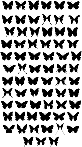 butterfly-butterflies-silhouette-4169117