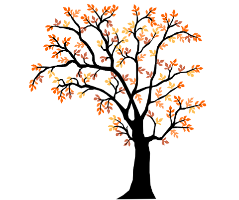nature-tree-autumn-5095319