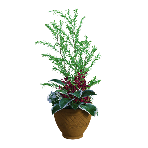 leaves-plants-garden-planter-vase-4757278