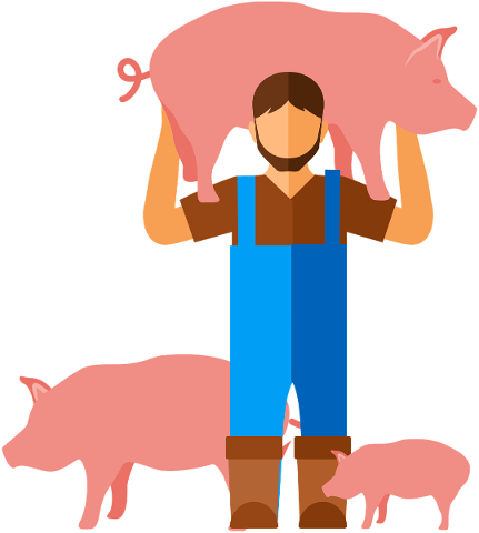farm-farmer-pig-piglet-bacon-meat-5665224
