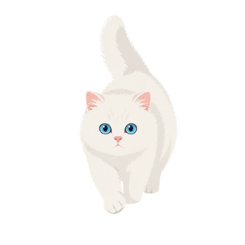 cat-kitten-white-cat-blue-eyes-10355050