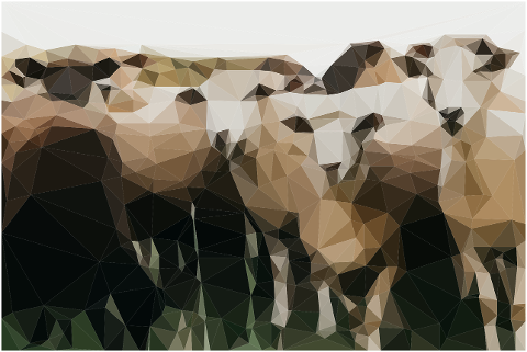 sheep-livestock-farm-animals-mosaic-6949560