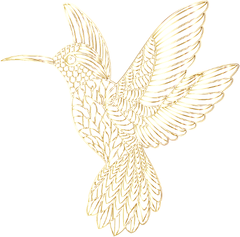 hummingbird-bird-animal-flying-8950178