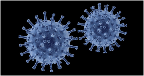 virus-pathogen-infection-biology-4930250