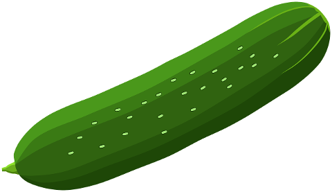 cucumber-vegetable-food-healthy-7305231