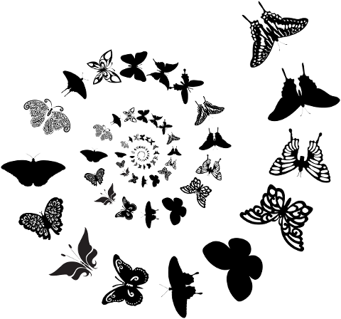 butterfly-spiral-vortex-animal-7344816
