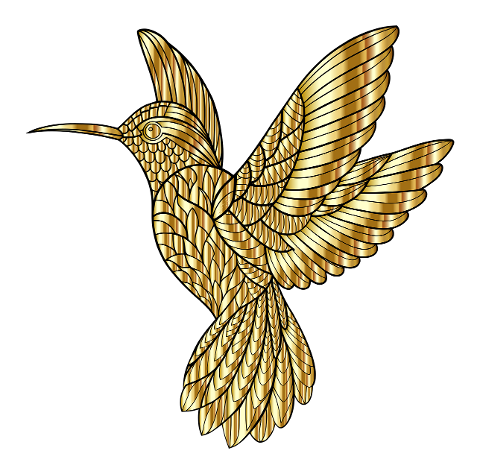 hummingbird-bird-animal-wings-8950176
