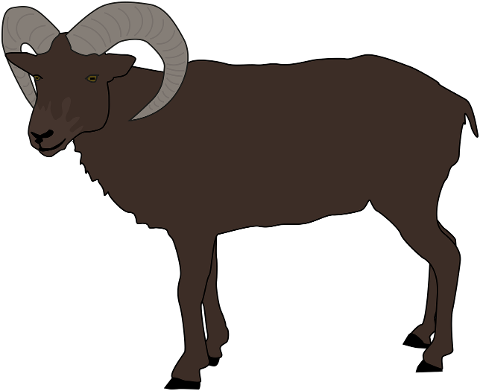 buck-horns-aries-mammal-animal-7846298