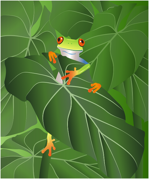 frog-tree-frog-leaves-amphibian-7001629