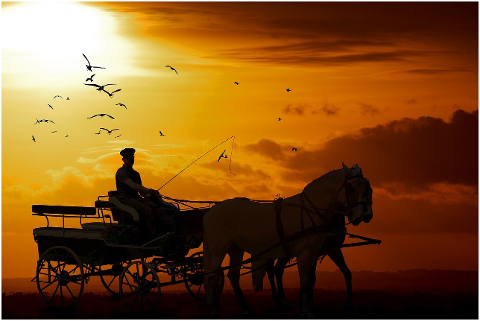 horses-sunset-horse-and-cart-6096480