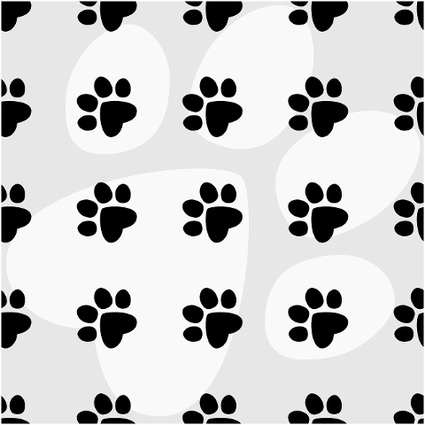 cat-paws-fingerprints-dog-paws-8821571