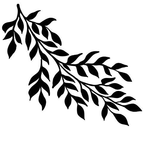 leaves-branch-line-art-drawing-8415580