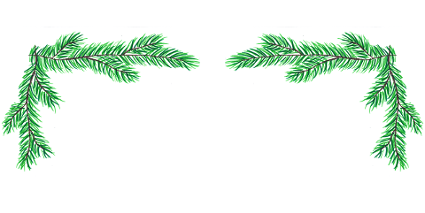 pine-needles-frame-copy-space-6826444