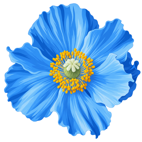 blue-poppy-himalayan-blue-poppy-10489398