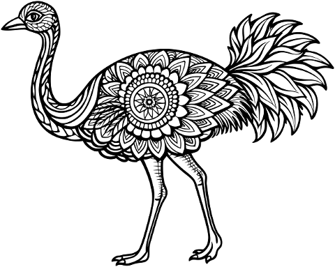 ai-generated-ostrich-bird-animal-8846871
