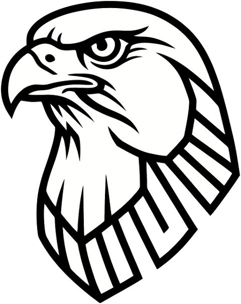 eagle-head-geometric-outline-bold-9908070