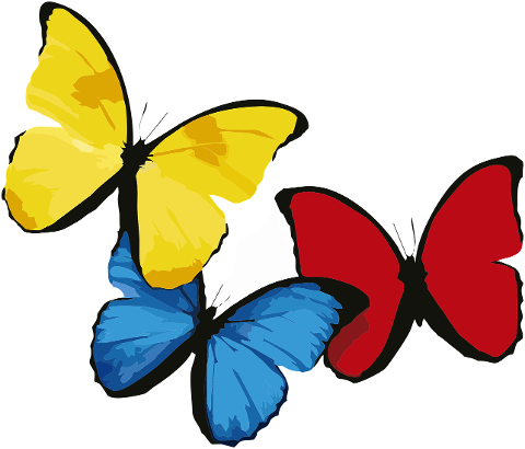 butterflies-colorful-butterflies-7415815