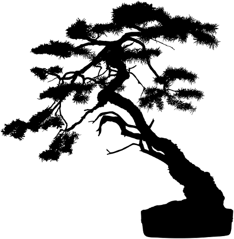 bonsai-tree-plant-silhouette-8143900