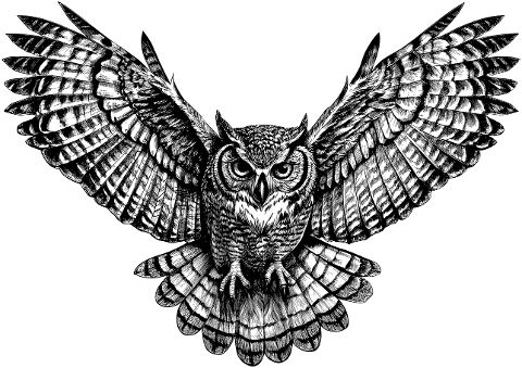 ai-generated-owl-bird-animal-8928305