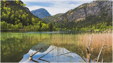 lake-mountains-reed-grass-6256628