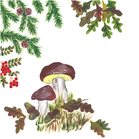 autumn-rowan-berries-mushrooms-7677711