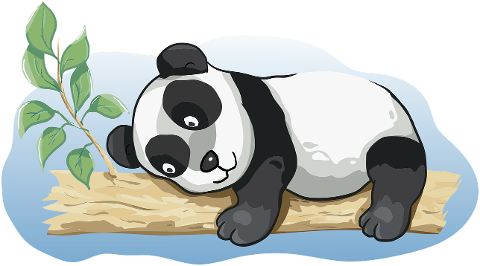 panda-animal-bamboo-wood-6084417
