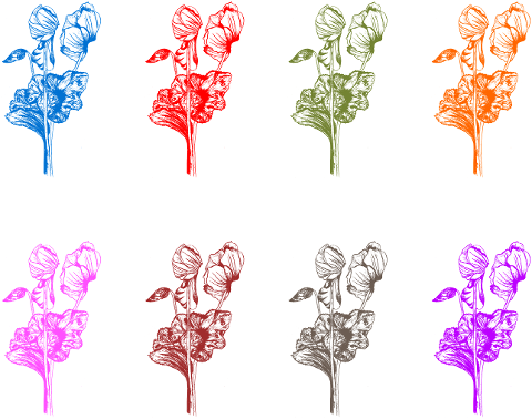 flowers-cyclamen-bloom-botany-art-6896904