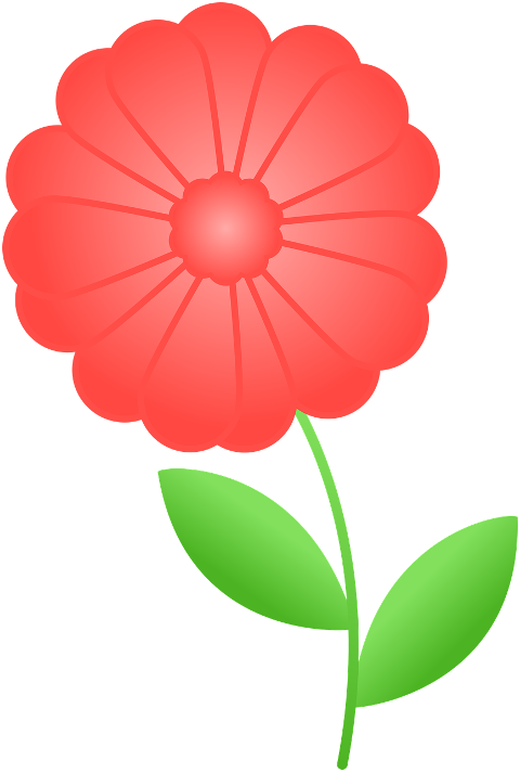 flower-spring-bloom-blossom-cutout-7082118