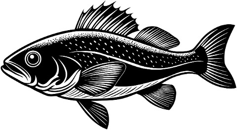 cod-fish-animal-aquatic-marine-8853361