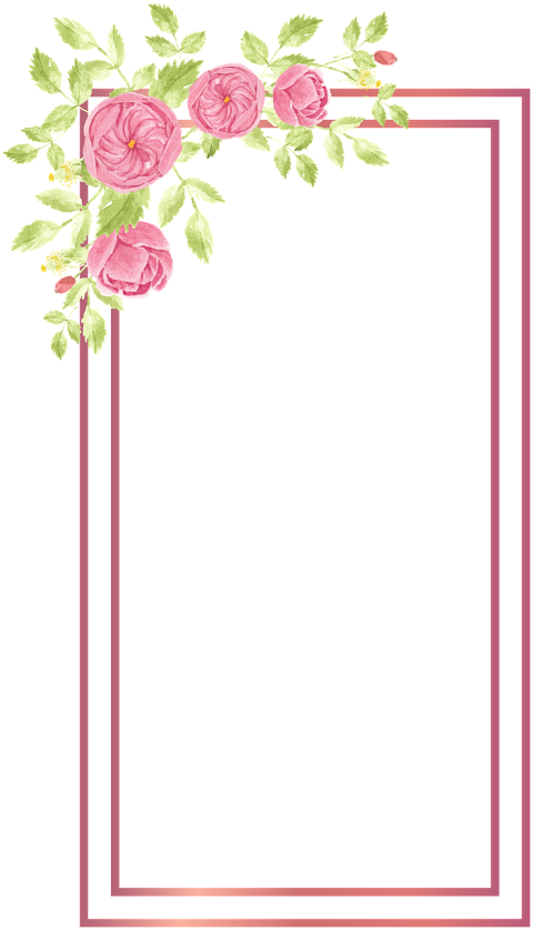 frame-border-roses-flowers-6566634