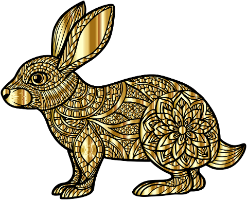 animal-bunny-rabbit-pet-mammal-8836722
