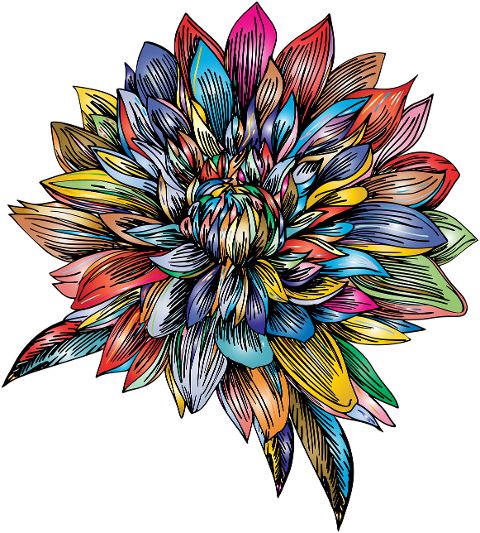 flower-plant-colorful-line-art-6471756