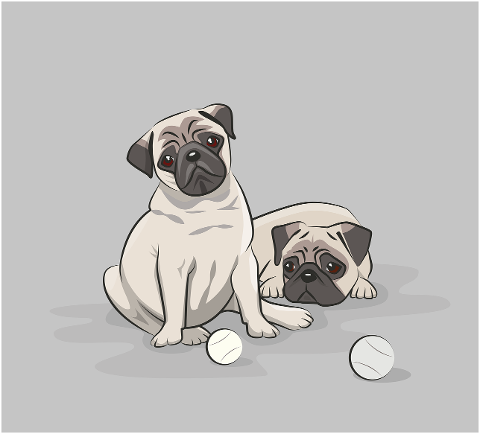 pugs-dogs-pet-domestic-puppy-7200102