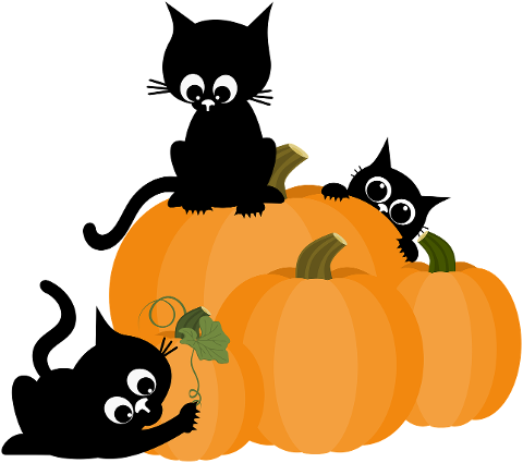 cat-pumpkin-kittens-cartoon-10472547