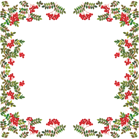 rowan-berries-frame-border-theme-7503819