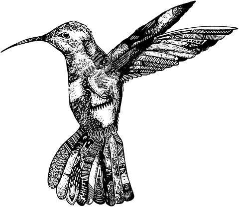 bird-hummingbird-design-tattoo-6967128