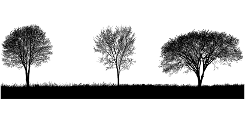 trees-forest-silhouette-landscape-8103102