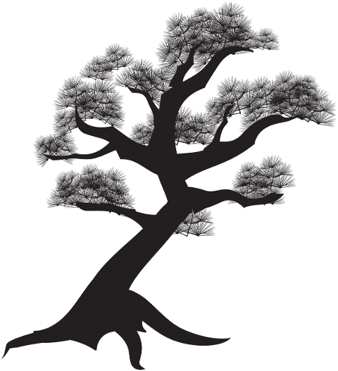 tree-pine-cypress-cedar-silhouette-6171384