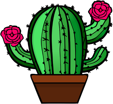 cactus-flowers-plant-pot-garden-7519975