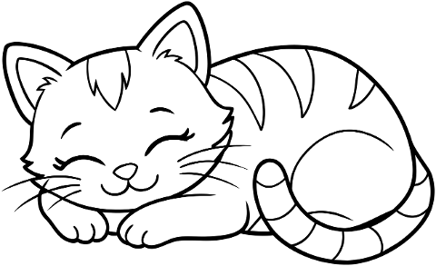 cat-animal-sleeping-cute-feline-9059888