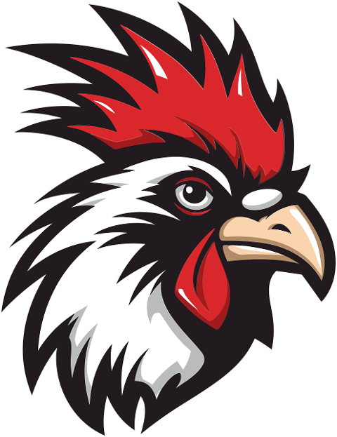 rooster-chicken-animal-bird-mascot-9355480