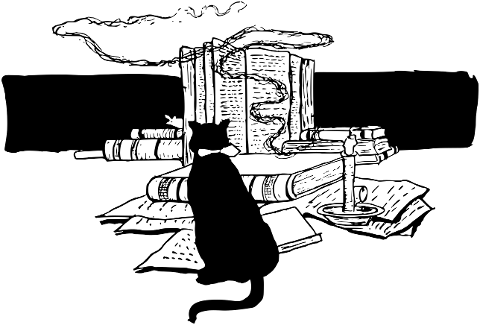 cat-books-reading-education-7460042