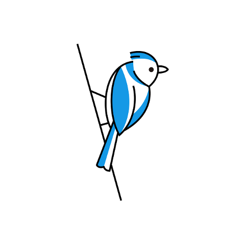 bird-sparrow-art-line-art-animal-7068661