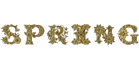 spring-seasons-typography-flowers-9853823
