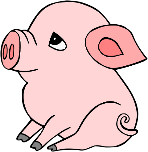 pig-piglet-animal-baby-pig-6991343