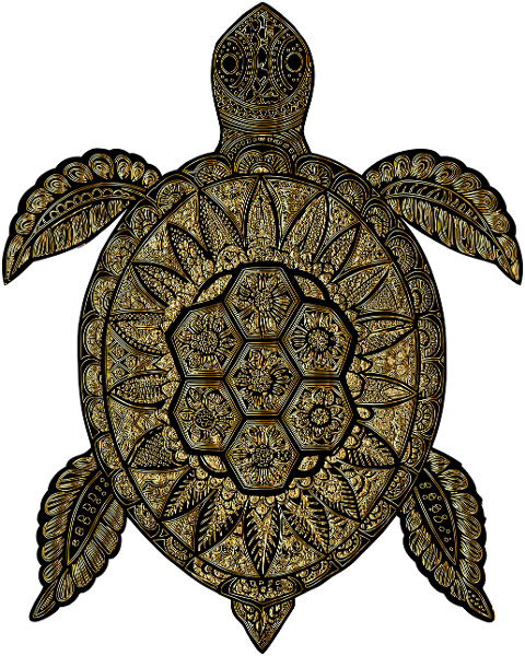sea-turtle-animal-reptile-wildlife-9556832