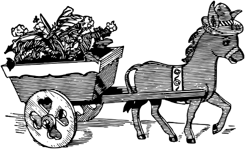 donkey-mule-cart-animal-6697437