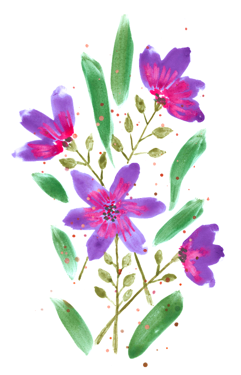 watercolor-purple-flowers-anemone-6173777