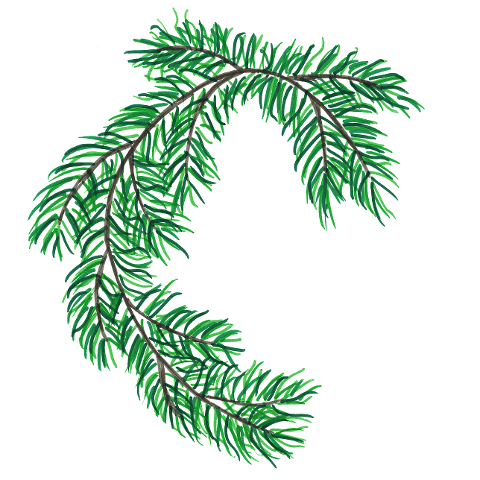 pine-needles-frame-copy-space-6826470