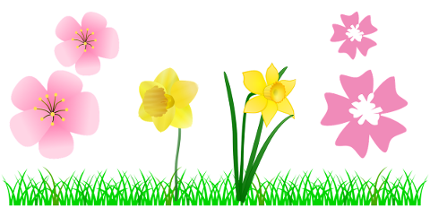 grass-spring-flowers-meadow-4724330